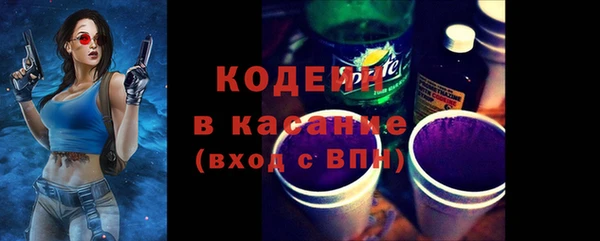 шишки Белокуриха