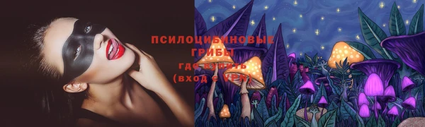 шишки Белокуриха