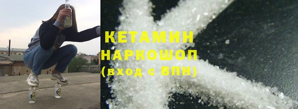 шишки Белокуриха