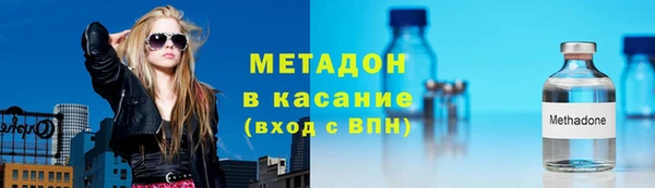 шишки Белокуриха