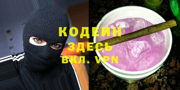 шишки Белокуриха