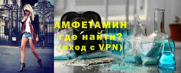 шишки Белокуриха
