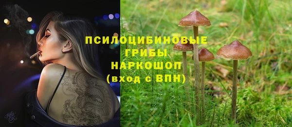 дмт Баксан