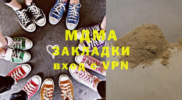 шишки Белокуриха