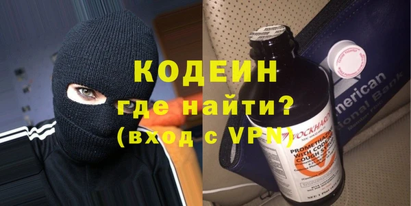 шишки Белокуриха