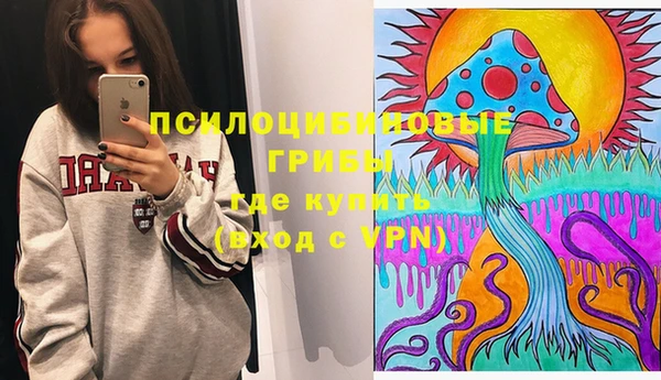 шишки Белокуриха