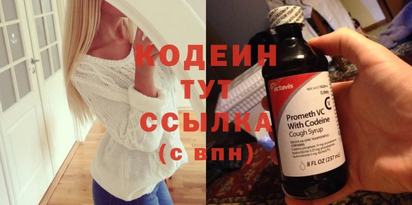 шишки Белокуриха