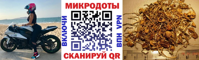 Галлюциногенные грибы прущие грибы  Купить закладки  Миньяр 
